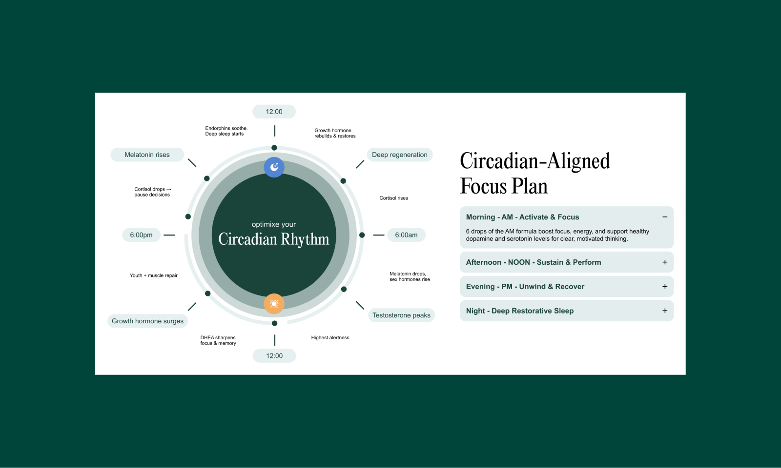 Circadian-Aligned Focus Plan
